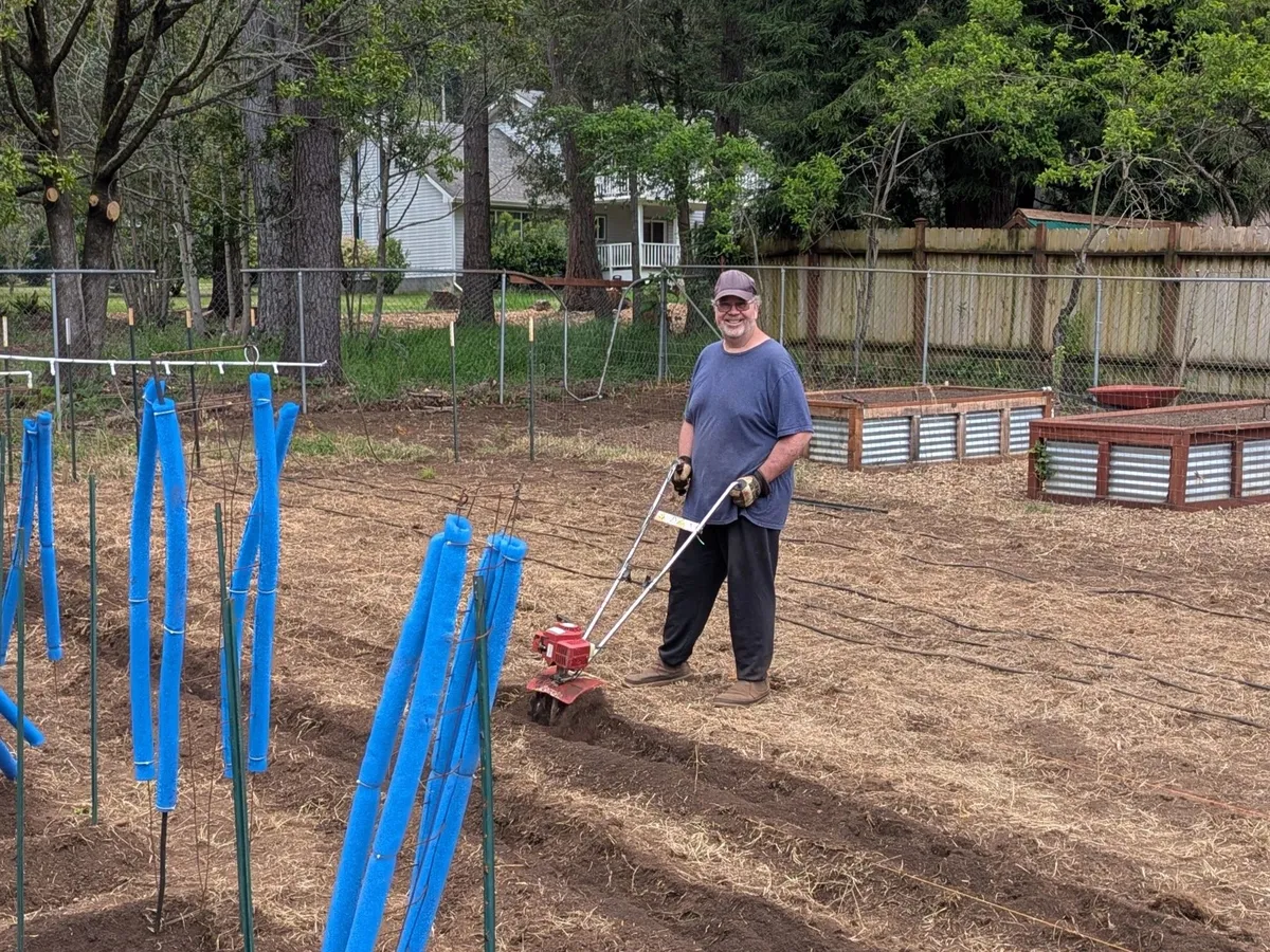 A person using a garden cultivator beside rows of young plants and raised beds.
